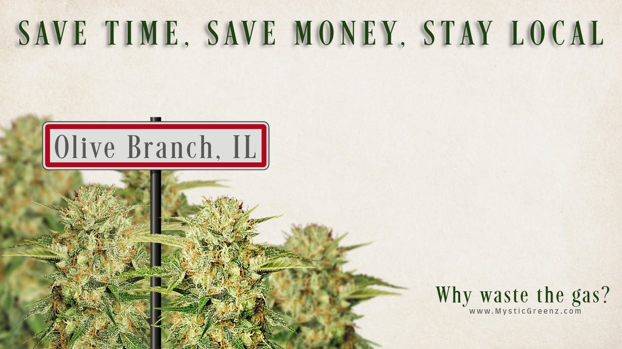 Mystic Greenz - Olive Branch Info, Menu & Deals - Weed dispensary Olive ...