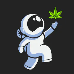 Moonwlkr Cannabis