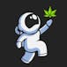 Moonwlkr Cannabis