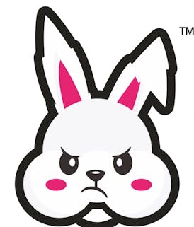 The Fat Bunny