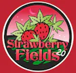 Strawberry Fields 2.0