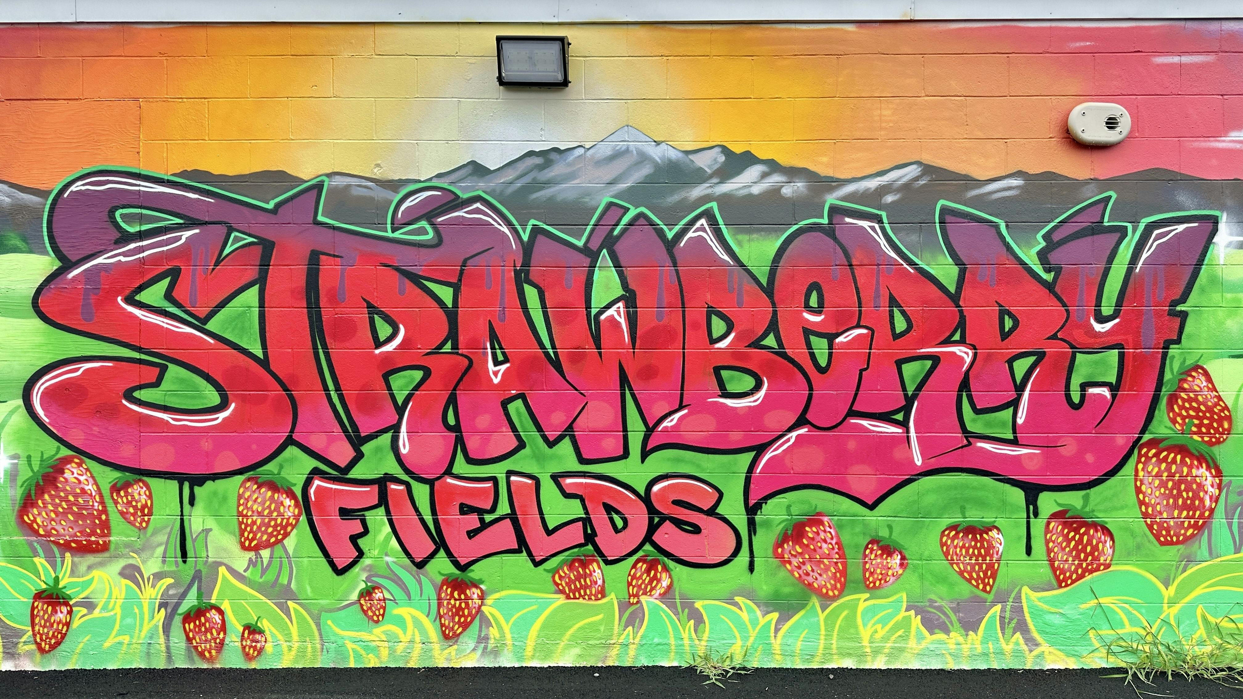 Strawberry Fields 2.0 listing banner