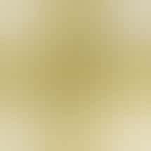 Zero Gravity Cannabis