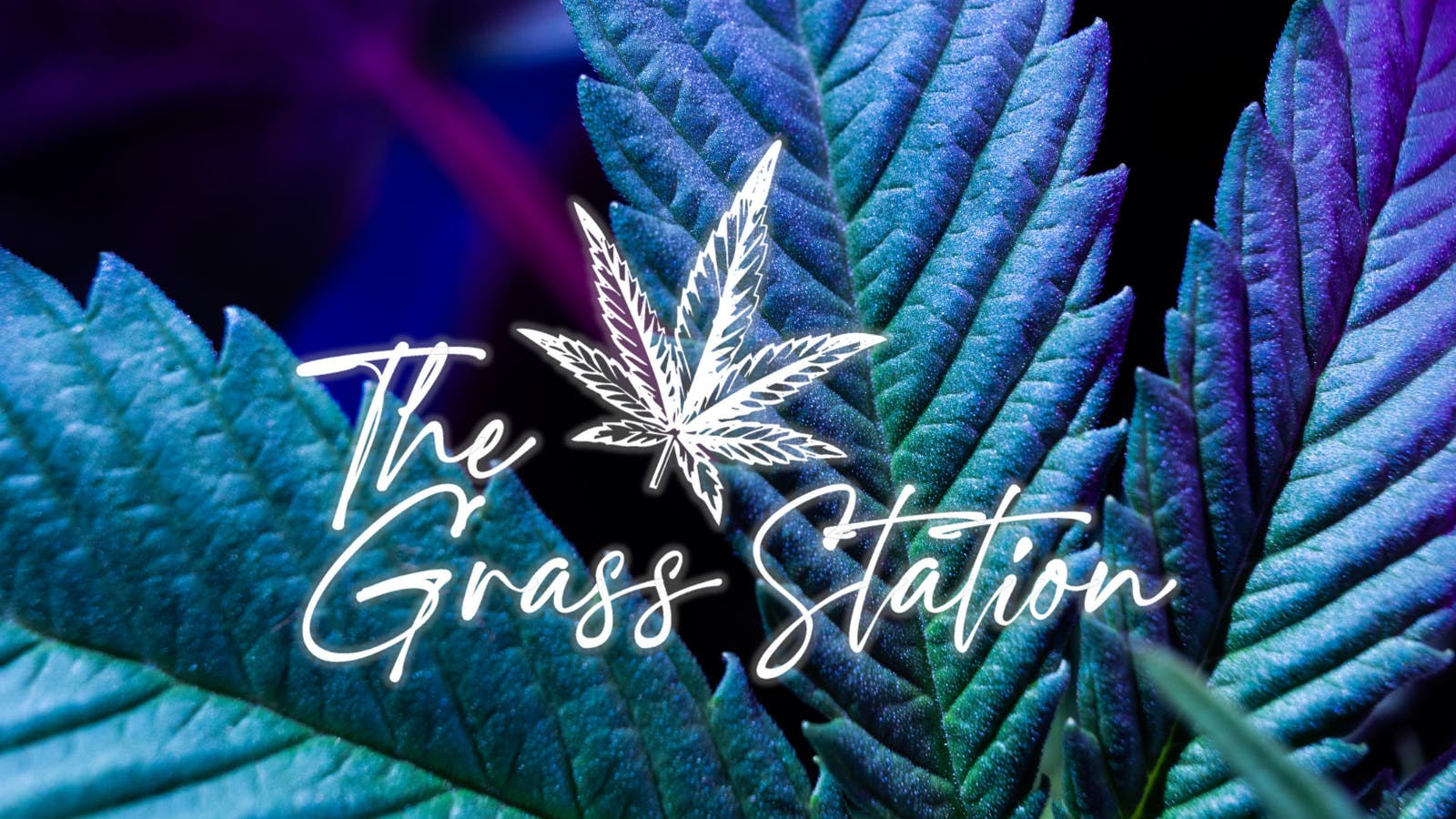 The Grass Station listing banner