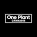 One Plant Cannabis - Saint Petersburg