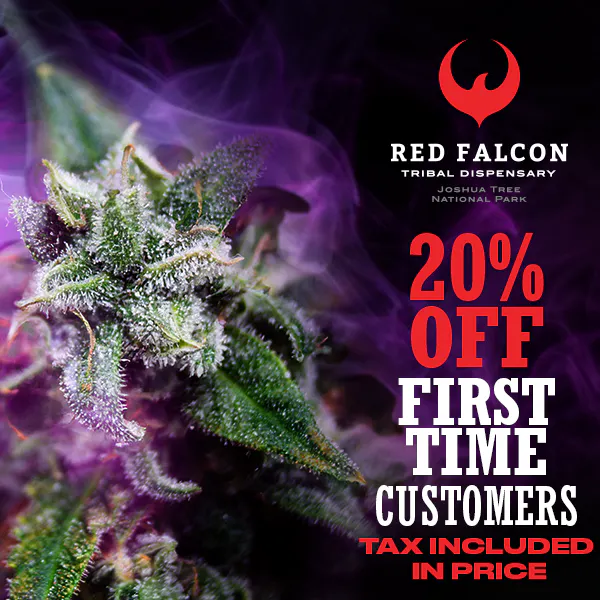 Red Falcon - 29 Palms