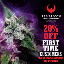 Red Falcon - 29 Palms