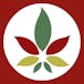 Homegrown Cannabis
