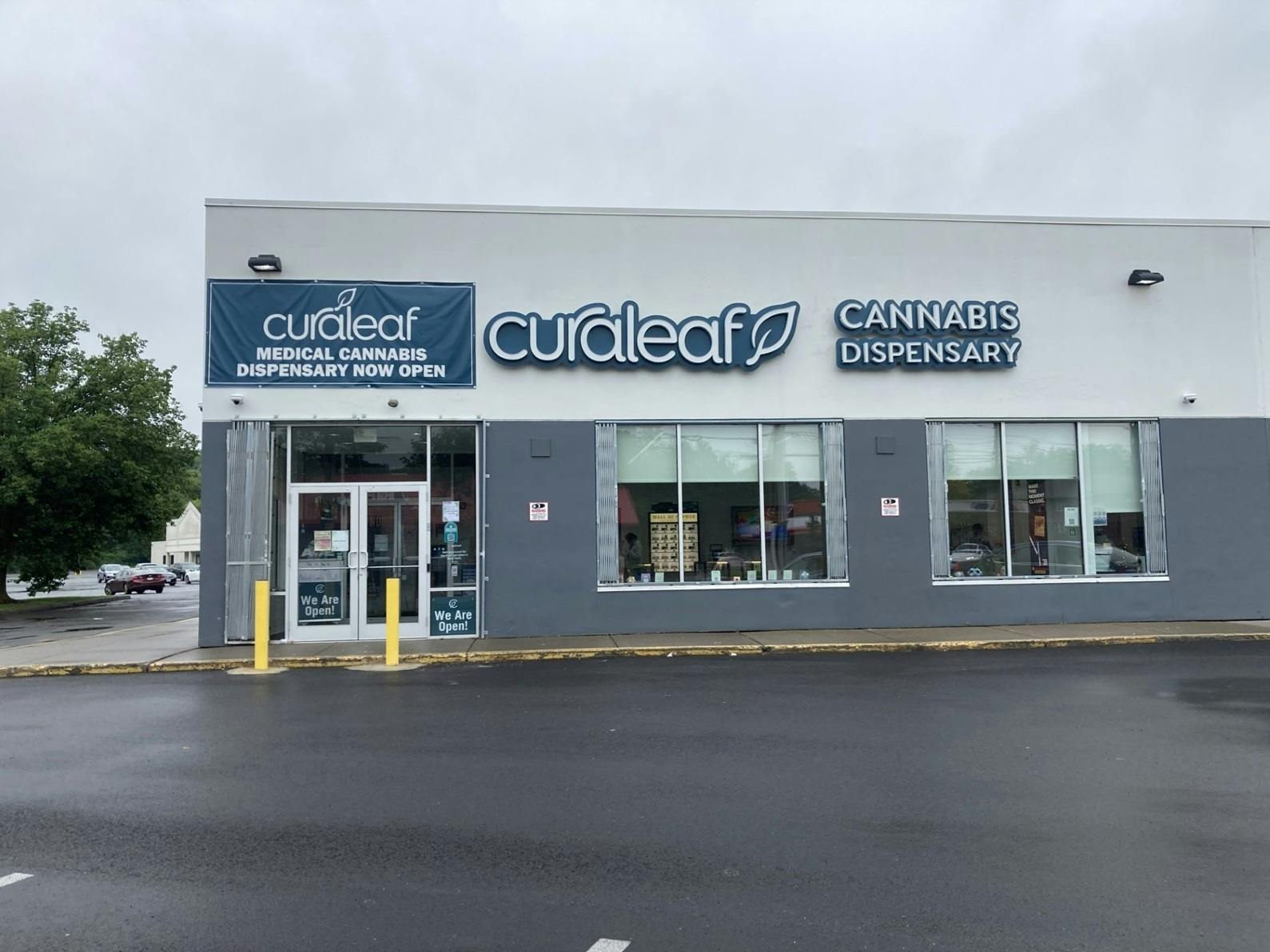 Curaleaf Syracuse listing banner