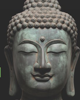 Canna Buddha of Jal