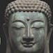 Canna Buddha of Jal