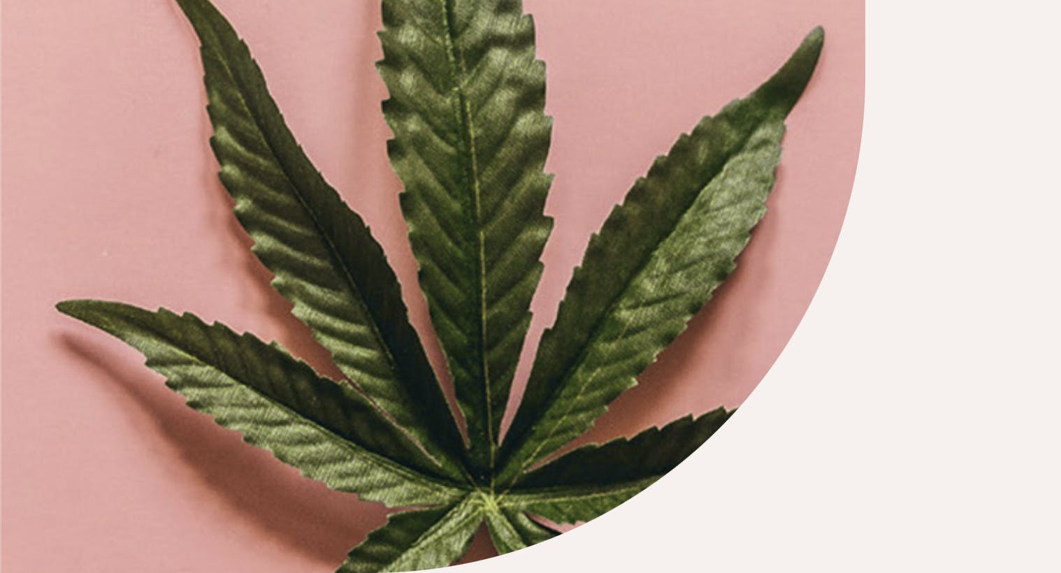Alta Dispensary listing banner