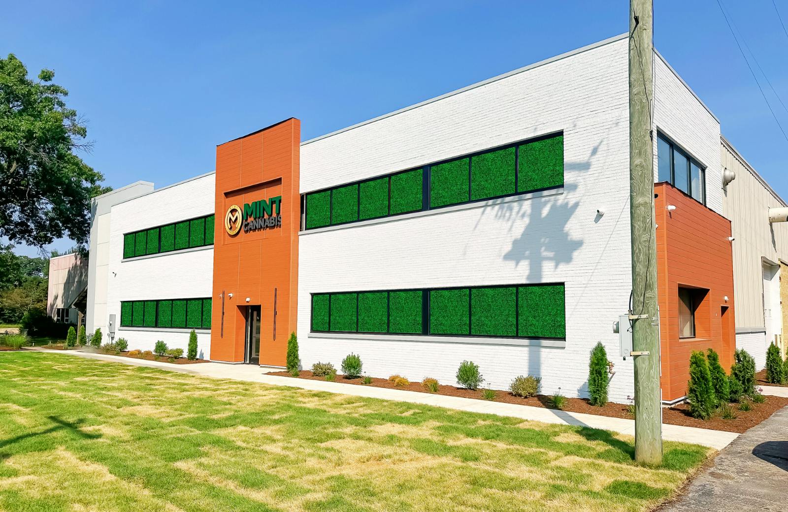 Mint Cannabis - New Buffalo listing banner