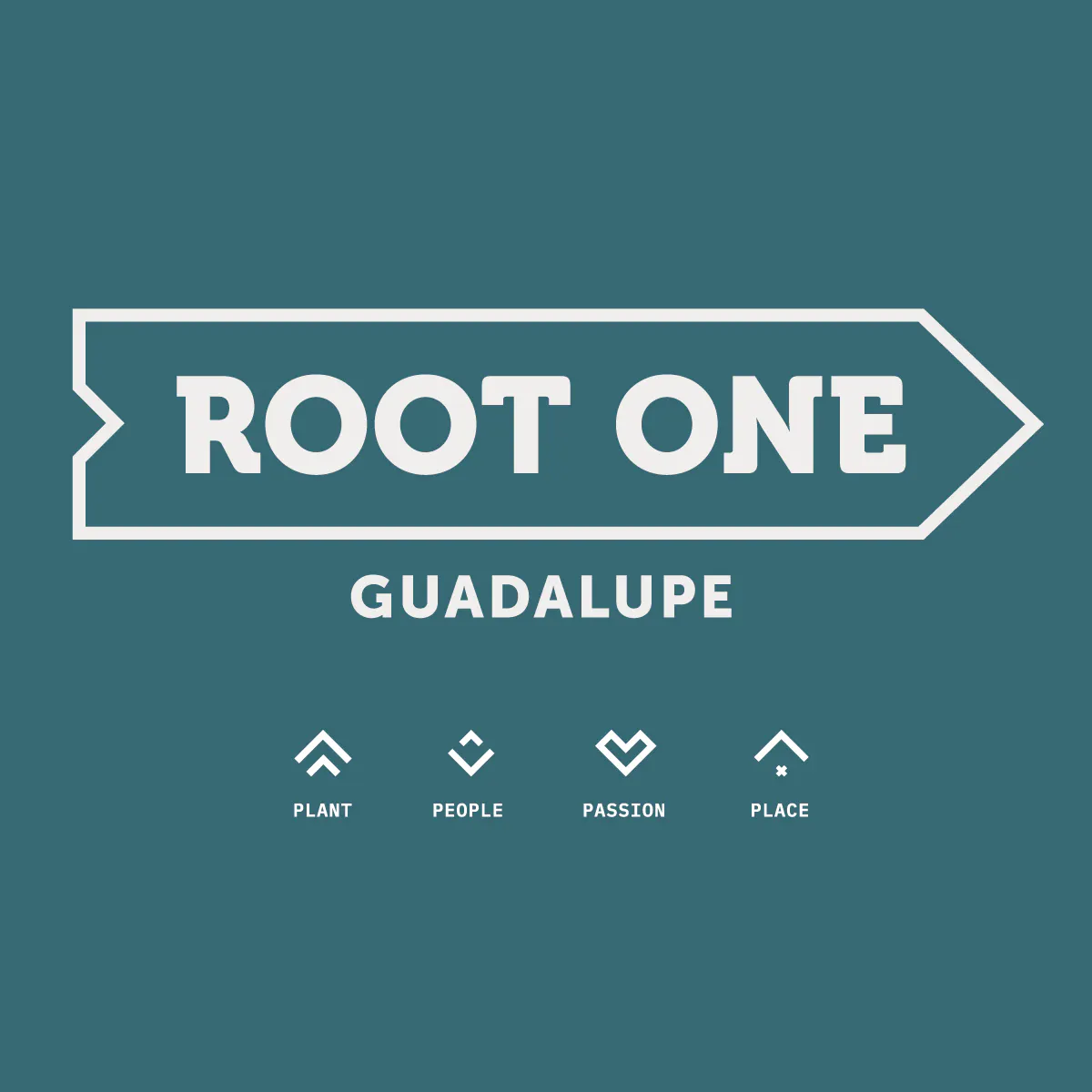 Root One - Guadalupe