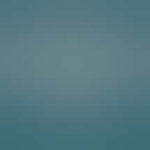 Root One - Guadalupe