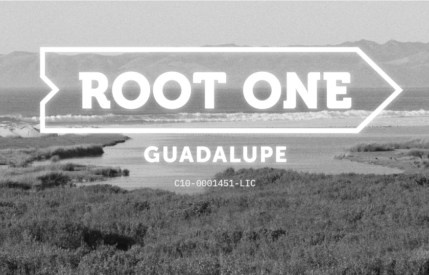 Root One - Guadalupe listing banner