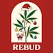 Rebud Weed Dispensary & Delivery - Sylmar
