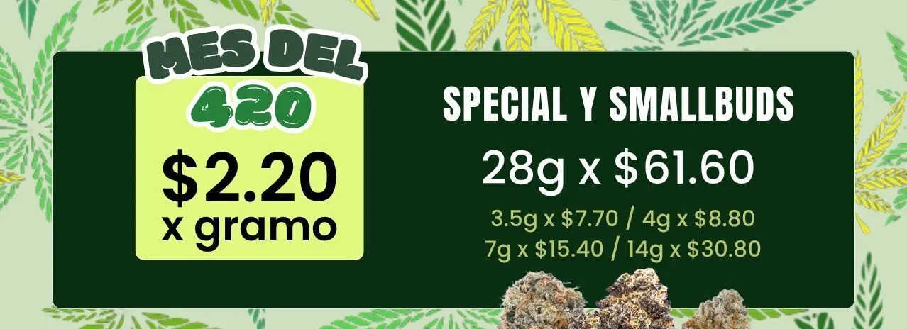 TETRA - TRUJILLO ALTO listing banner