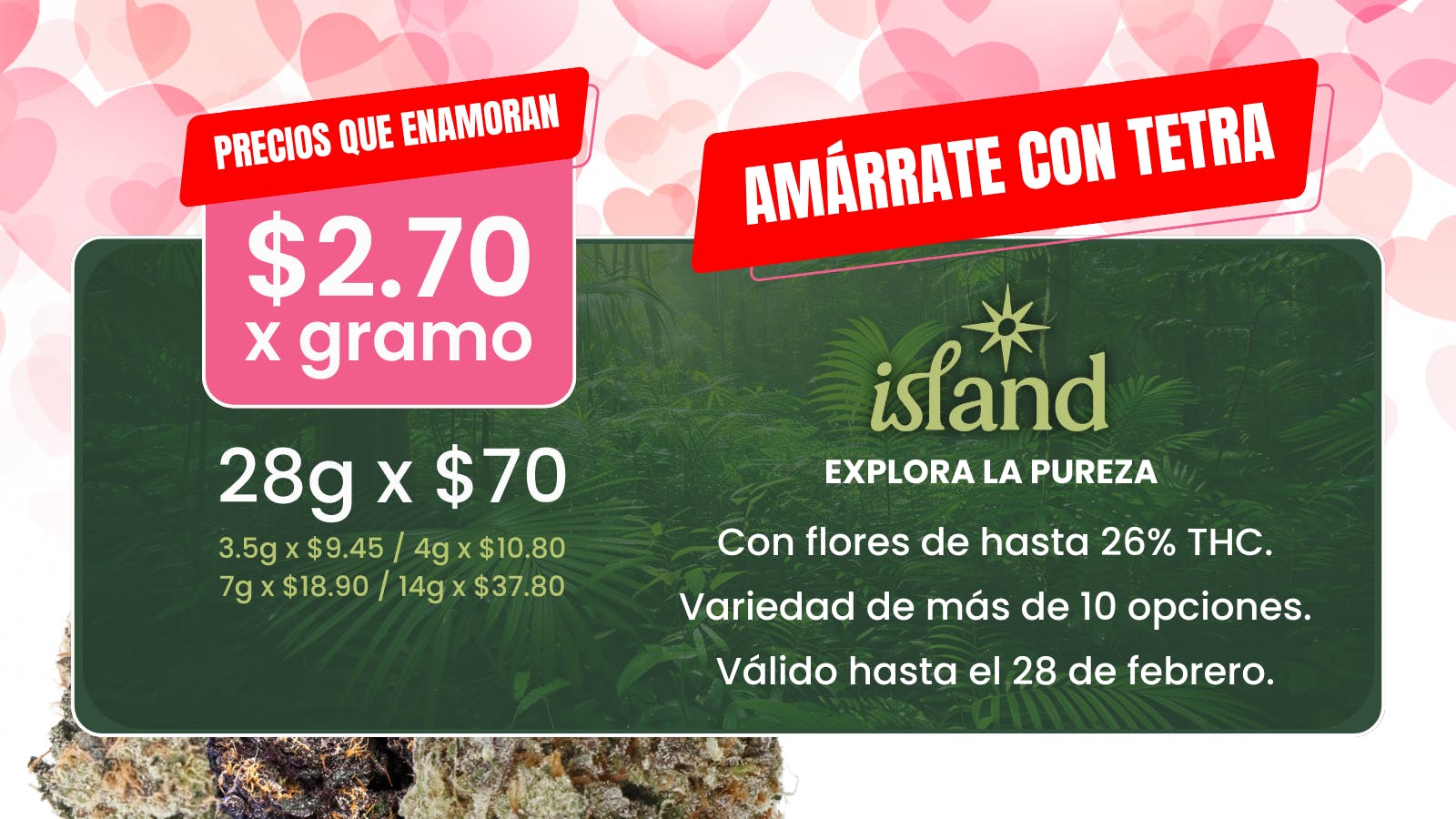 TETRA - HUMACAO listing banner