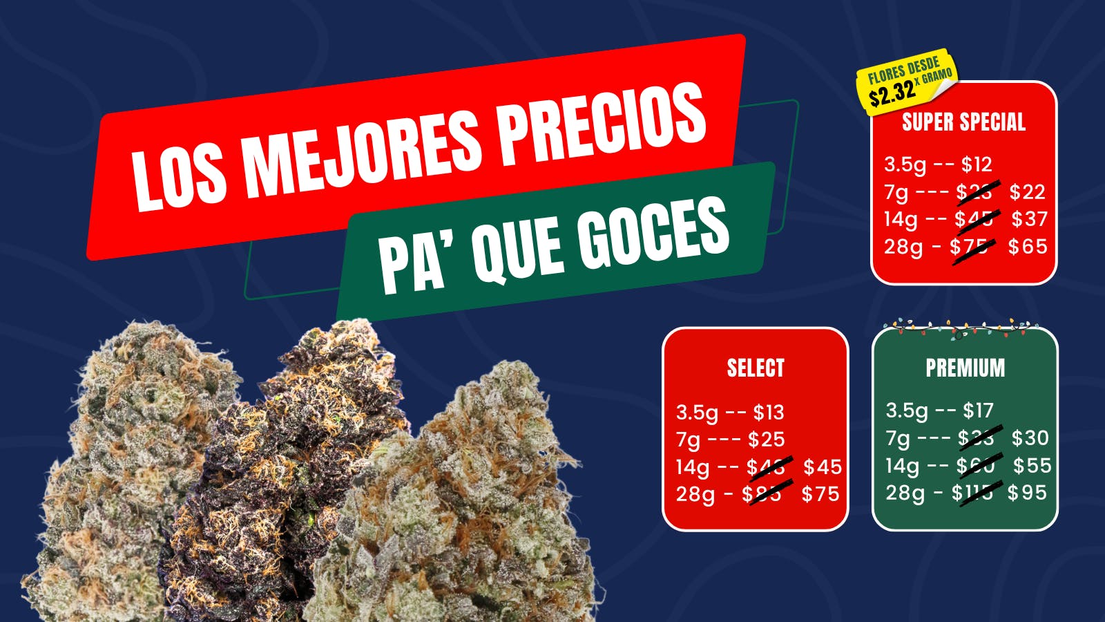 TETRA - VEGA BAJA listing banner