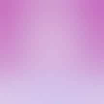 JARS Cannabis - Jackson