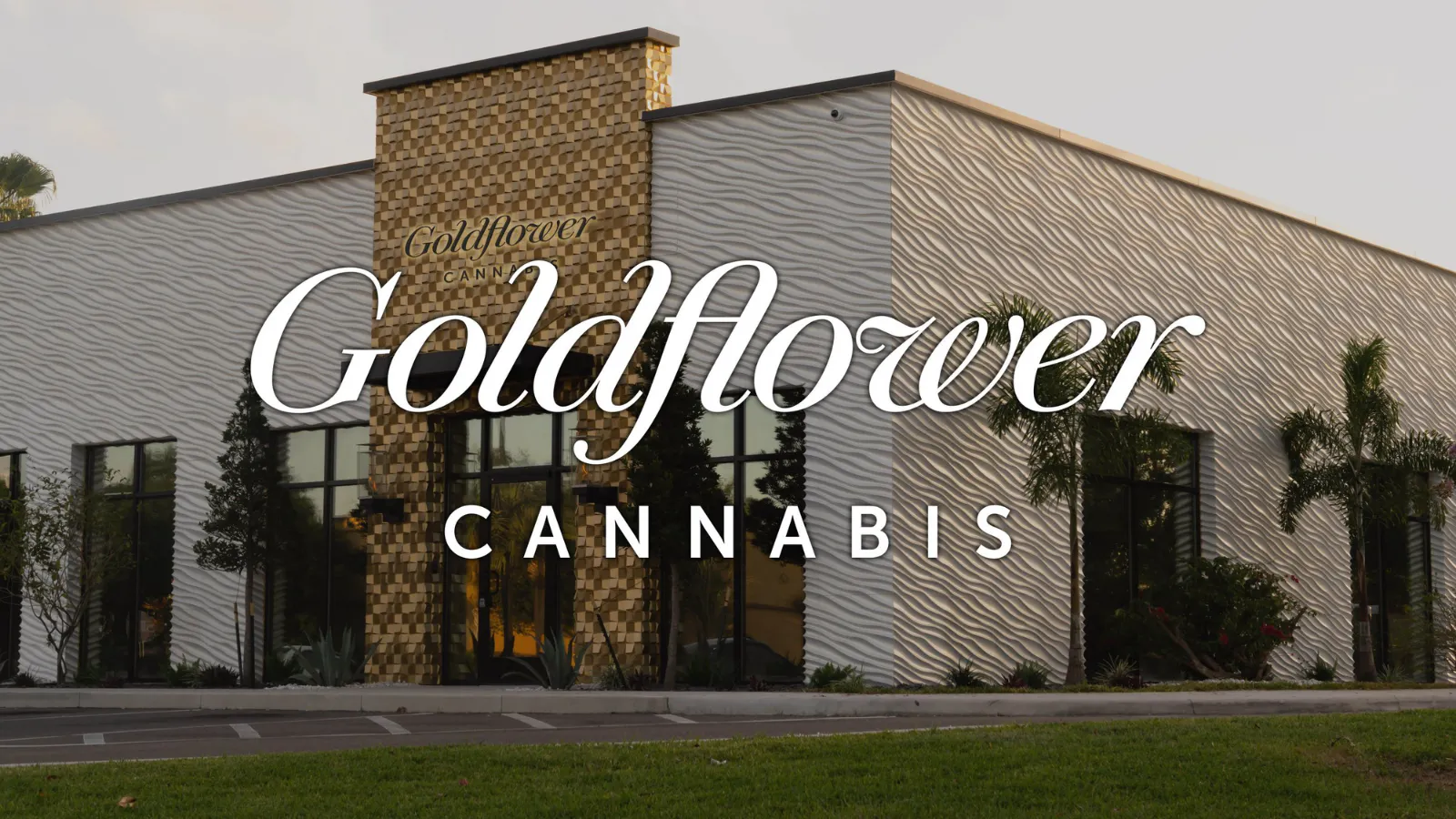 Goldflower Cannabis - Tampa listing banner