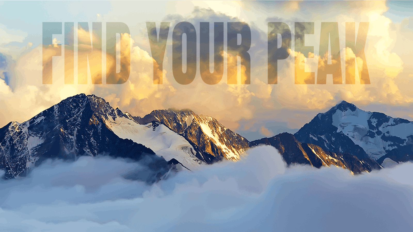 Higher Ground - Lynwood listing banner