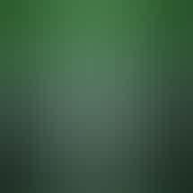 WOW World of Weed - Lakeshore Road