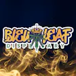 Bleu Leaf Dispensary