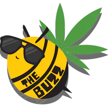 The Buzz - Grand Junction