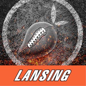 Mango Cannabis - Lansing