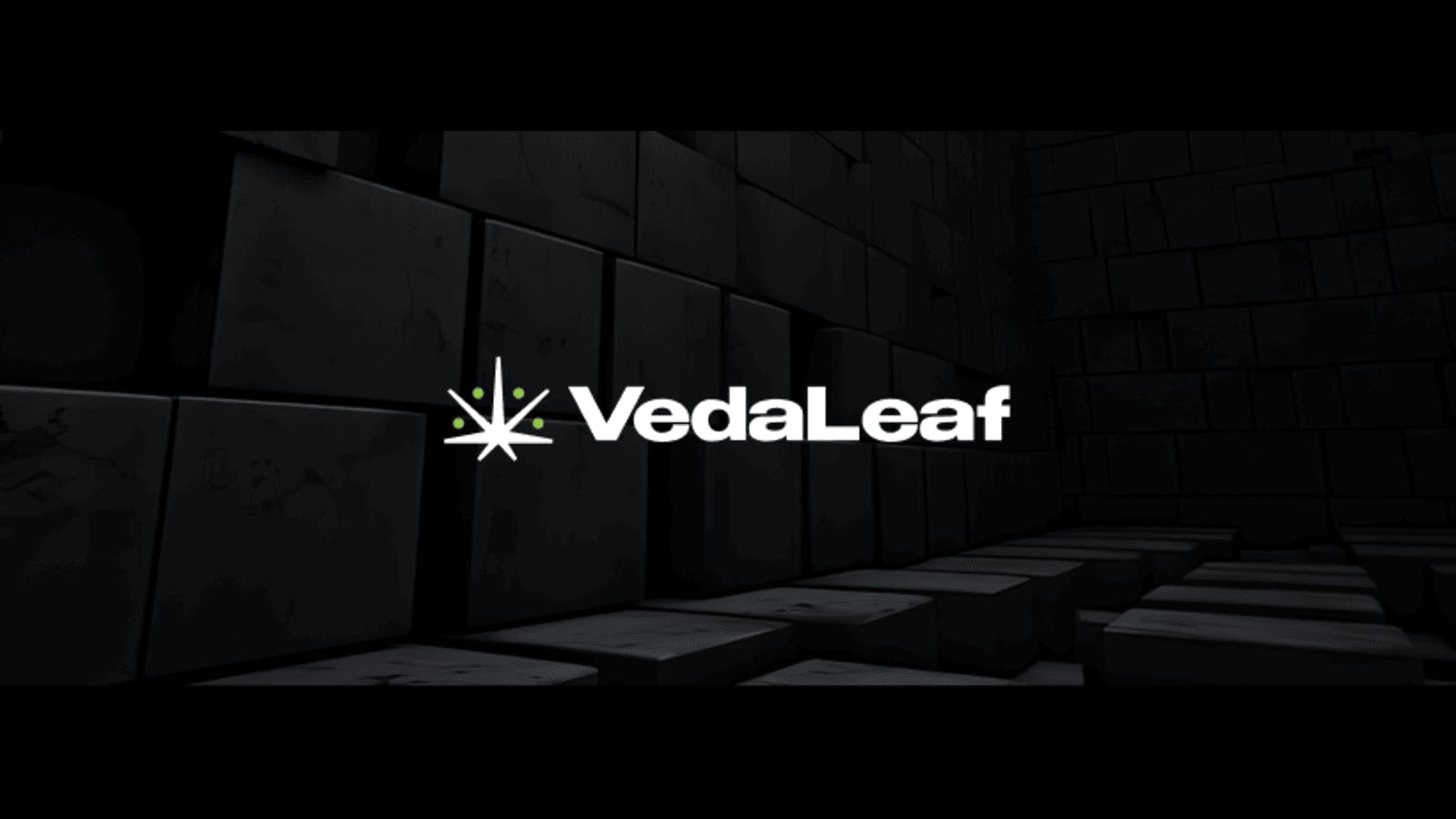 VedaLeaf listing banner