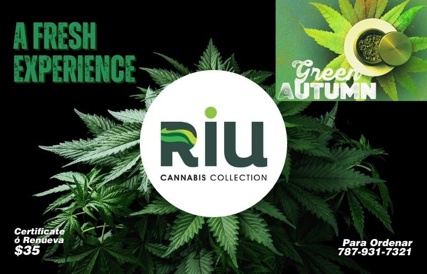 Riu Cannabis Collection listing banner