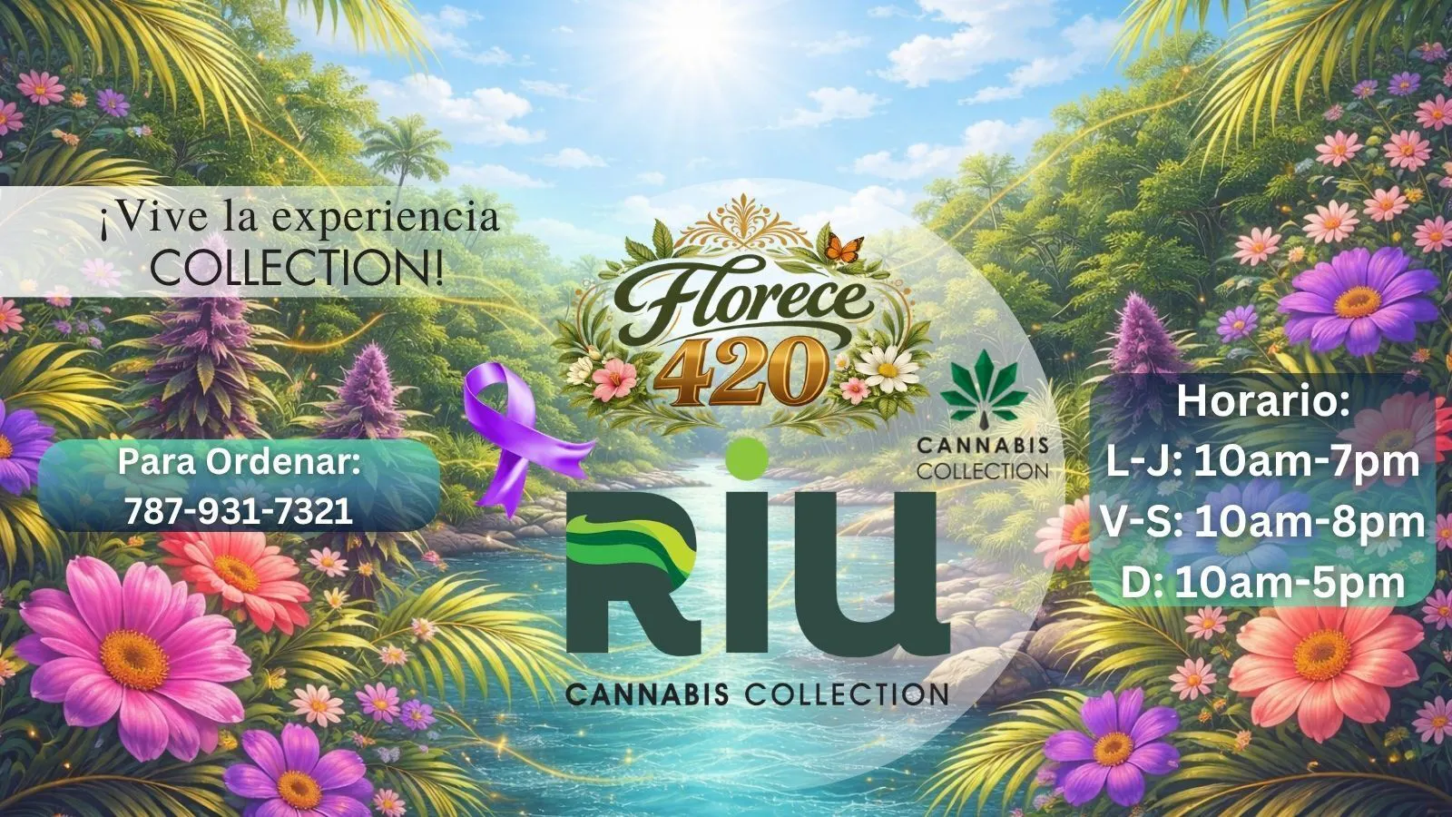 Riu Cannabis Collection listing banner