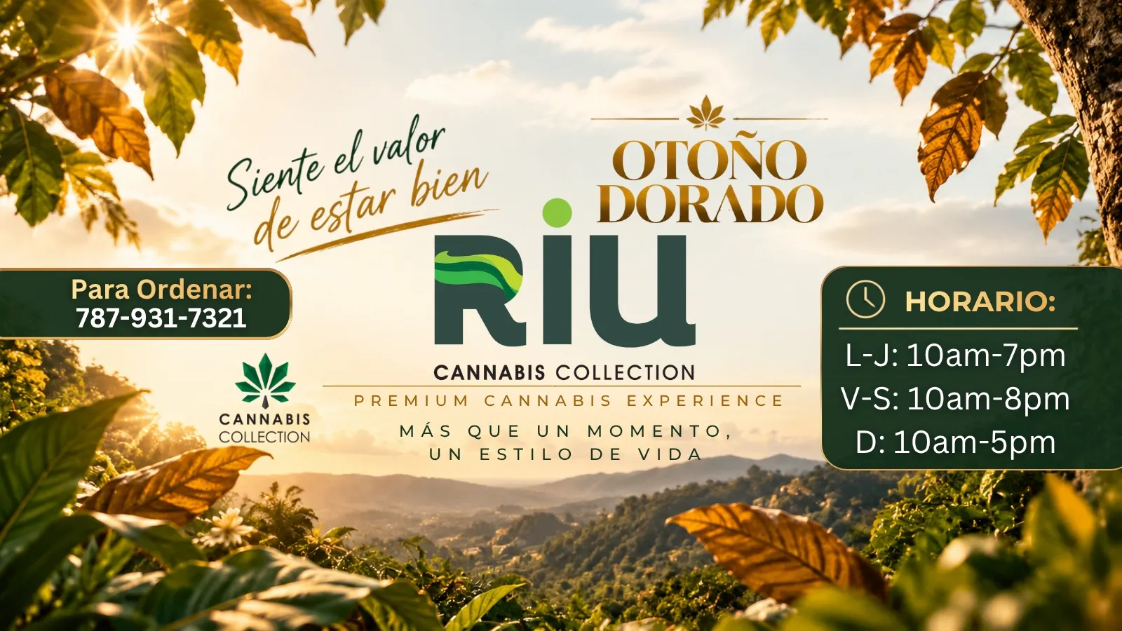 Riu Cannabis Collection listing banner