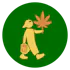Local Herb