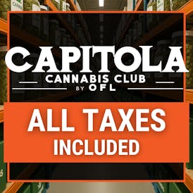 Capitola Cannabis Club By OFL