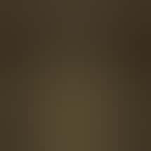 Ohana Cannabis - Santa Cruz