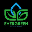 Evergreen Nature's Remedy