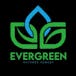 Evergreen Nature's Remedy