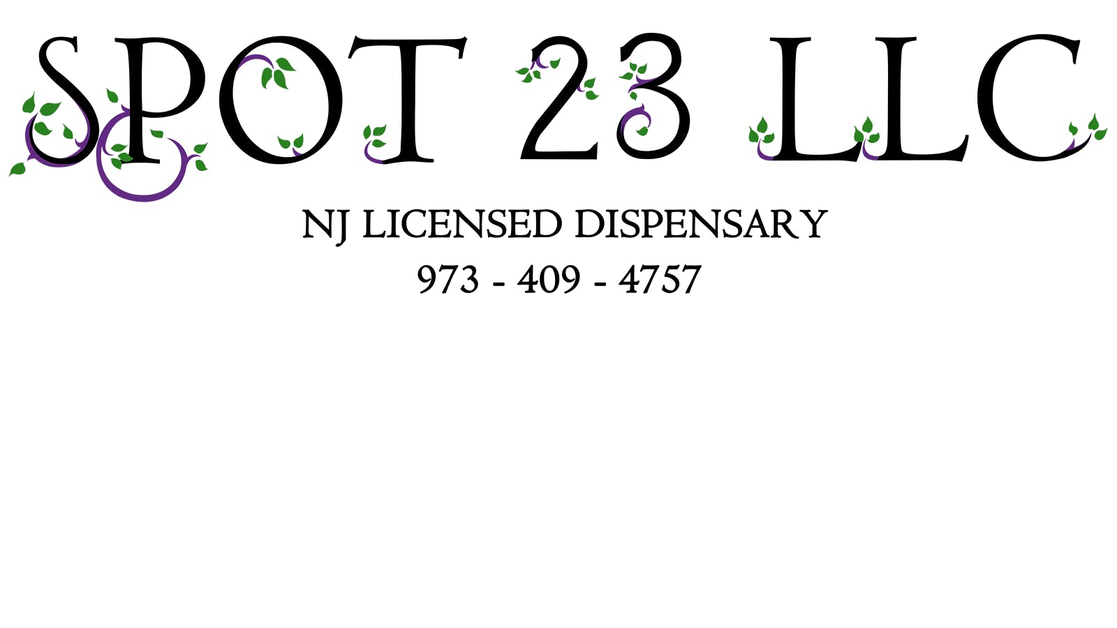 Spot 23 LLC listing banner