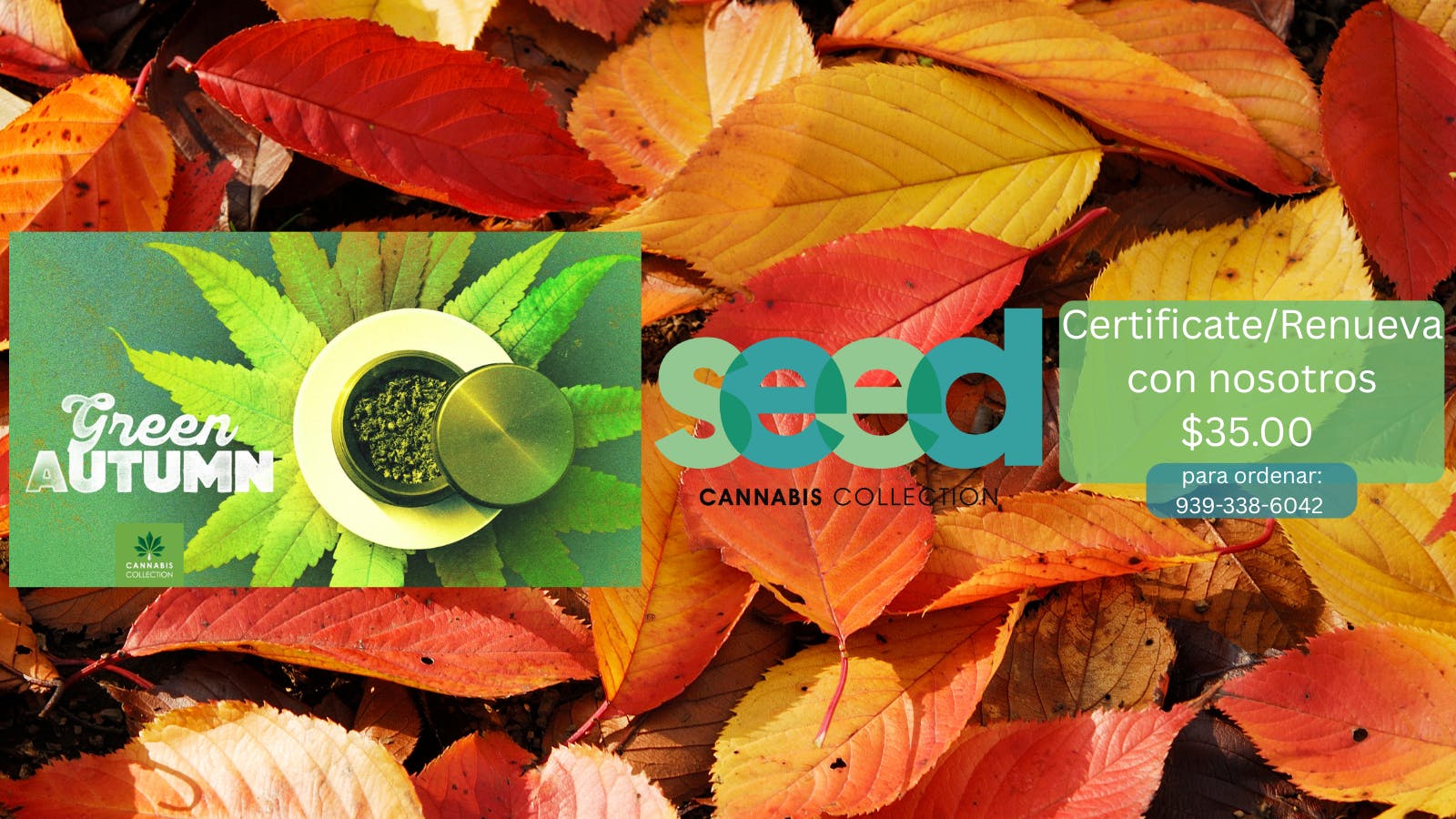 Seed Cannabis Collection listing banner