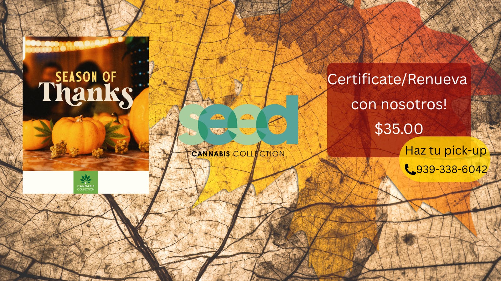 Seed Cannabis Collection listing banner