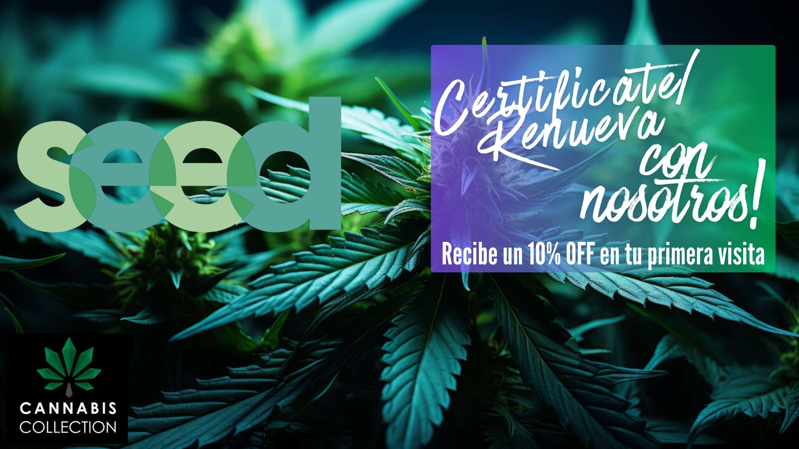 Seed Cannabis Collection listing banner