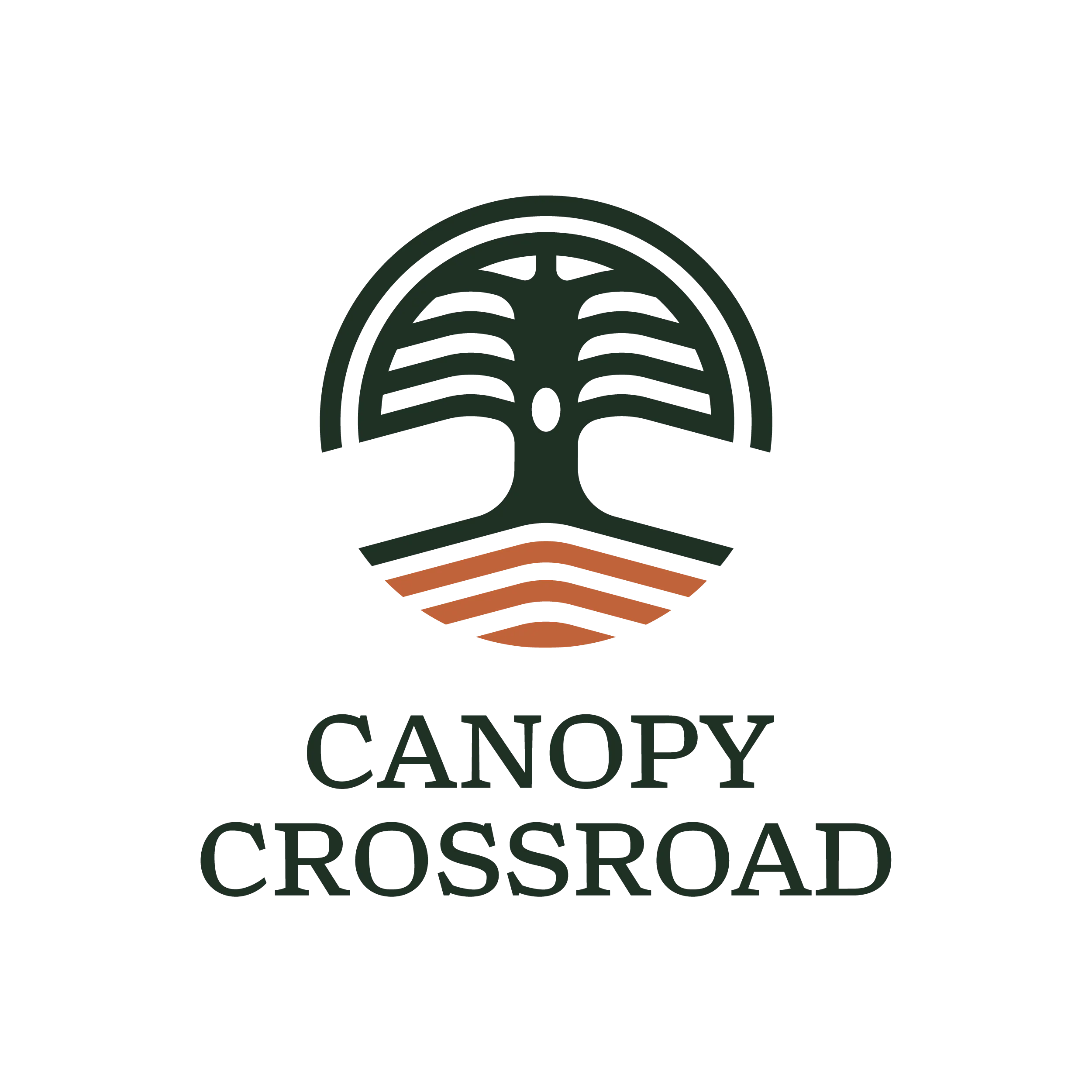 Canopy Crossroad