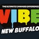 Vibe New Buffalo