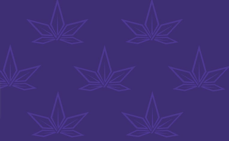 Strain Stars - Riverhead listing banner