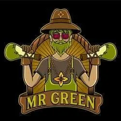 Mr. Green - 12th Street