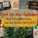 Cannabis Central