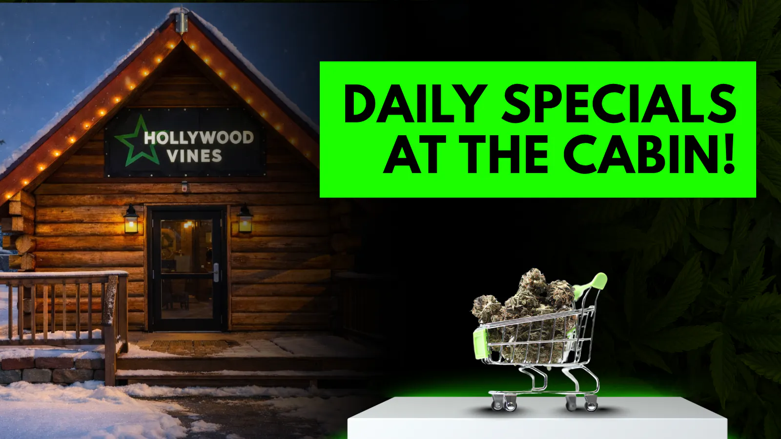 Hollywood Vines listing banner